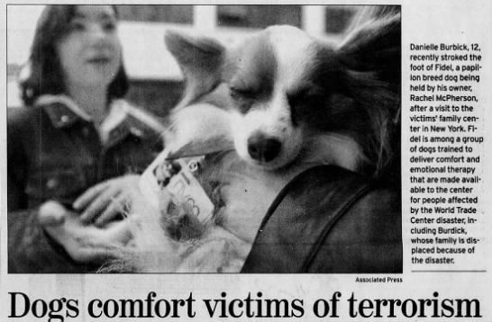 Dogs comforts victims of terrorism
